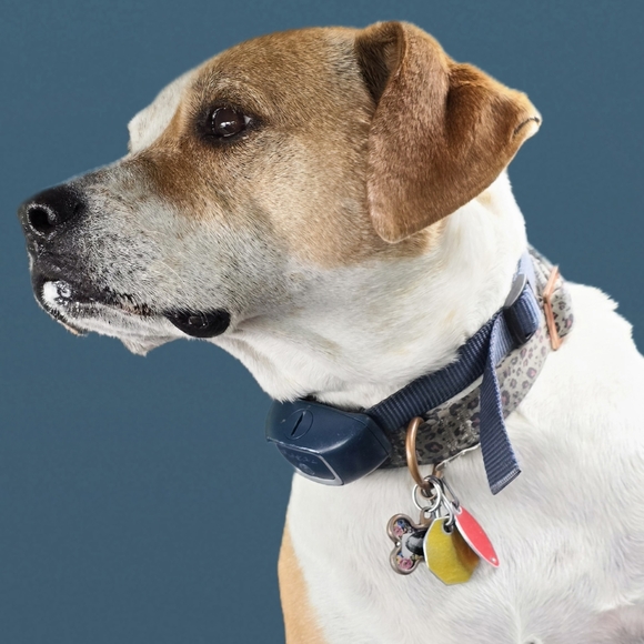 Meet your Posher, Rebekah - Picture 2 of 8